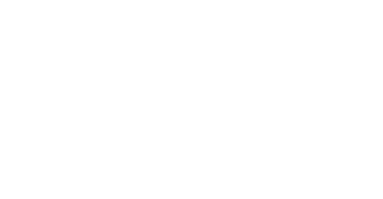 our vision